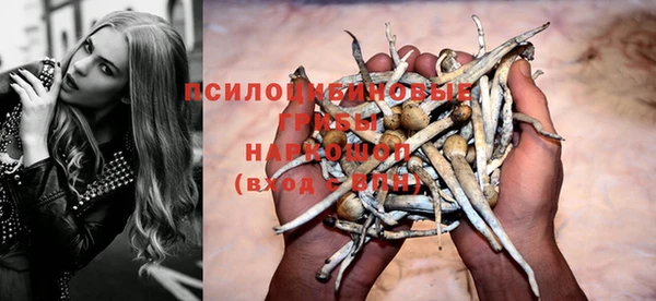гидропоника Бронницы